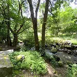 Chalet Le Montagnard En Bois La Bresse