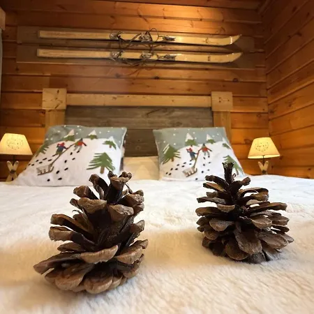 Le Montagnard En Bois Chalet